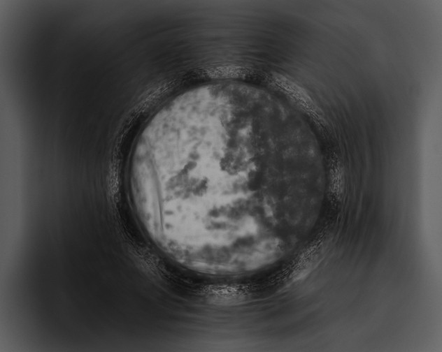 X0000095670687200801291137