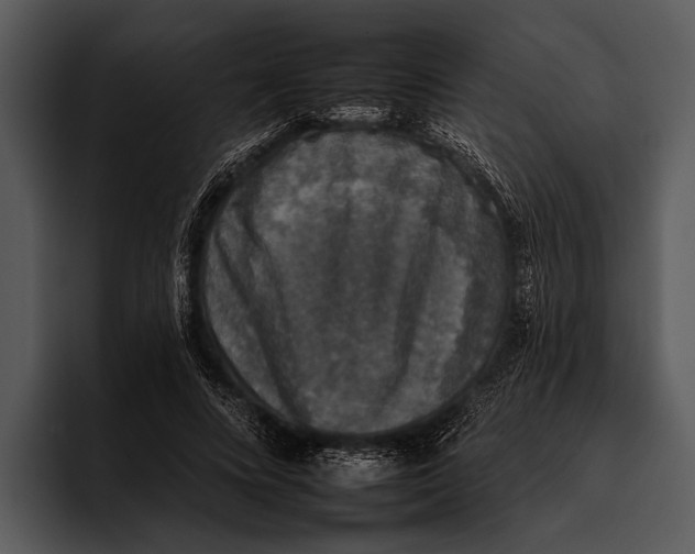 X0000095670688200801291137