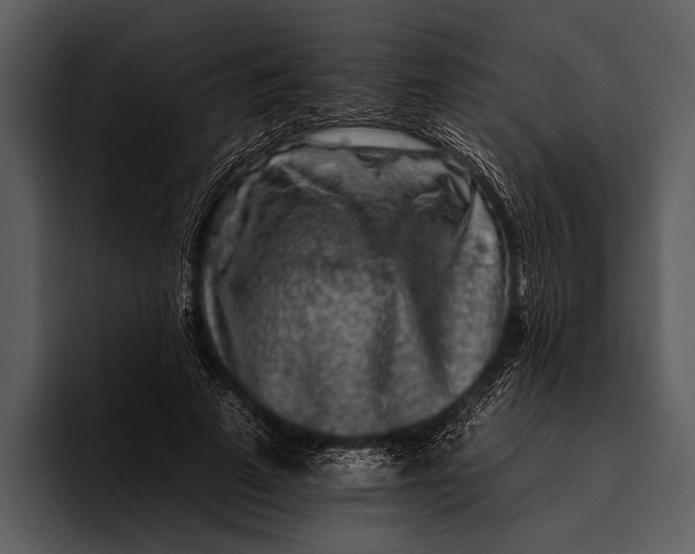 X0000095670689200801291137