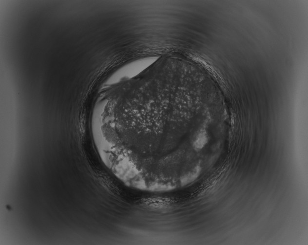 X0000095670691200801291137