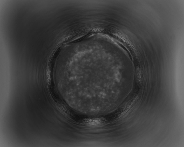 X0000095670692200801291137