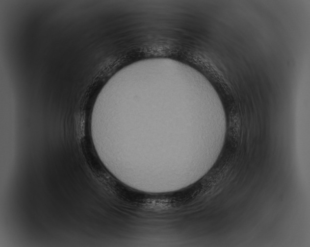 X0000095670694200801291137