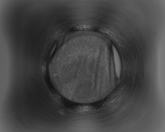 X0000095670695200801291137