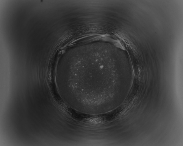 X0000095670696200801291137