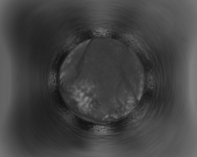 X0000095670699200801291137