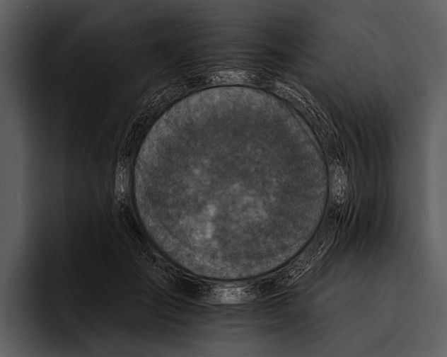 X0000095670701200801291137