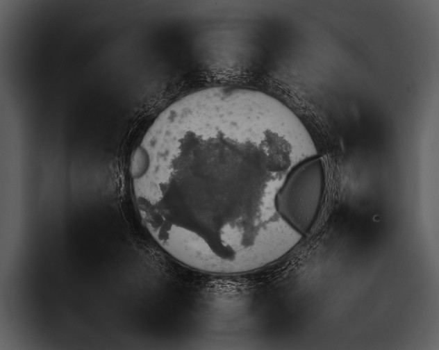 X0000095670703200801291137