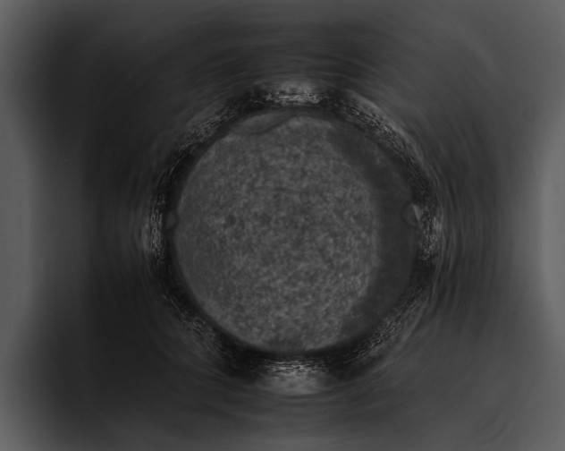 X0000095670704200801291137