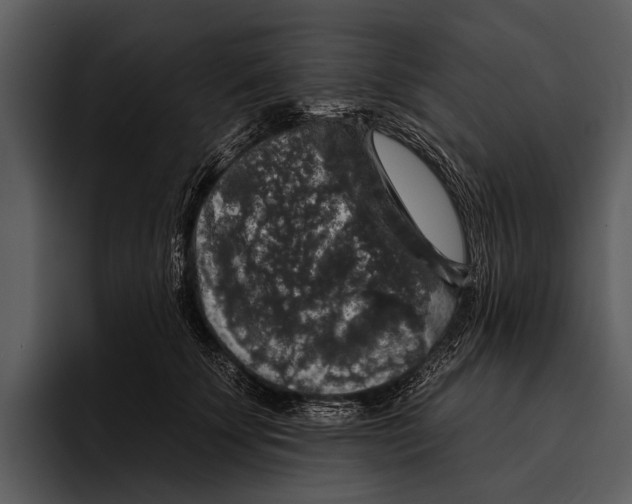 X0000095670707200801291137