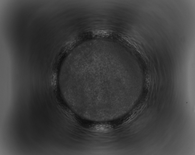 X0000095670708200801291137