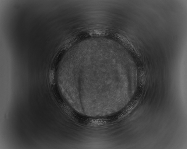 X0000095670709200801291137