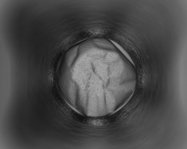 X0000095670710200801291137