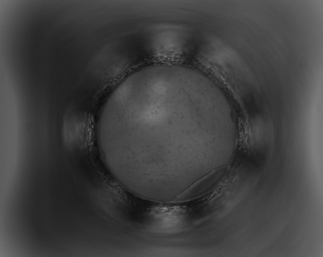 X0000095670712200801291137