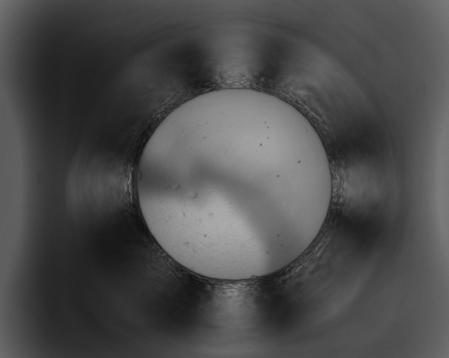 X0000095670717200801291137