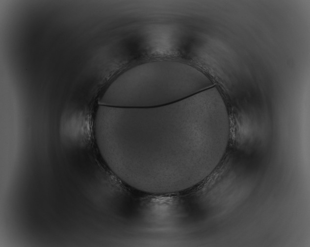 X0000095670718200801291137