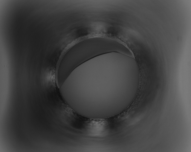 X0000095670720200801291137