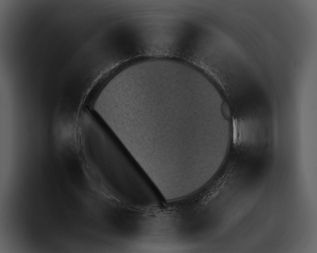 X0000095670723200801291136