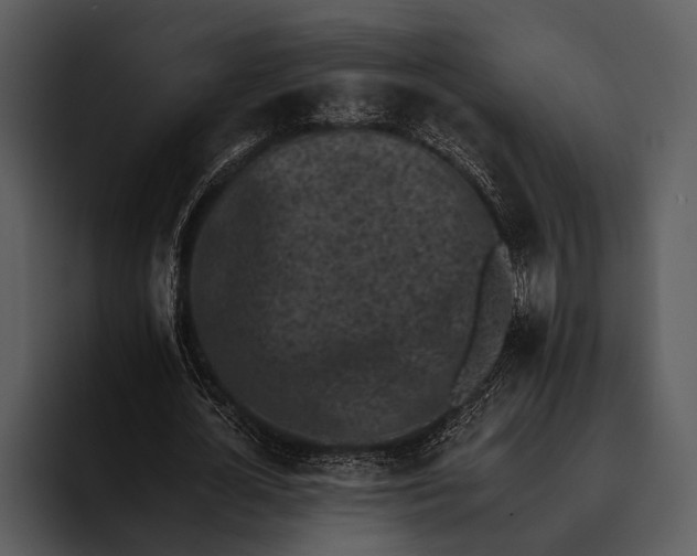 X0000095670724200801291136