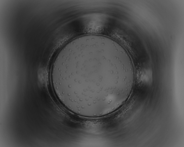 X0000095670725200801291136