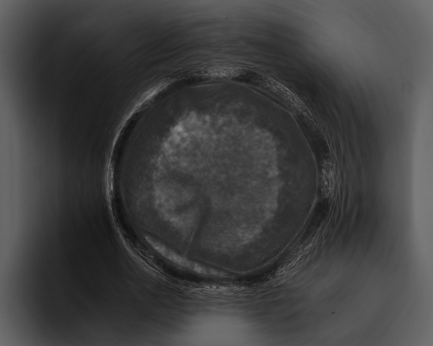 X0000095670726200801291136