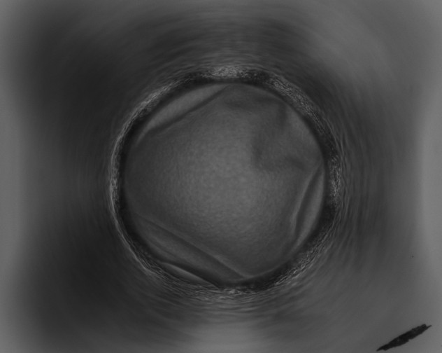 X0000095670728200801291136