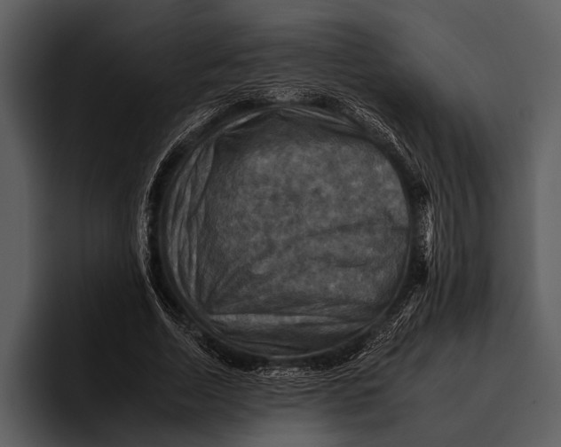 X0000095670730200801291136