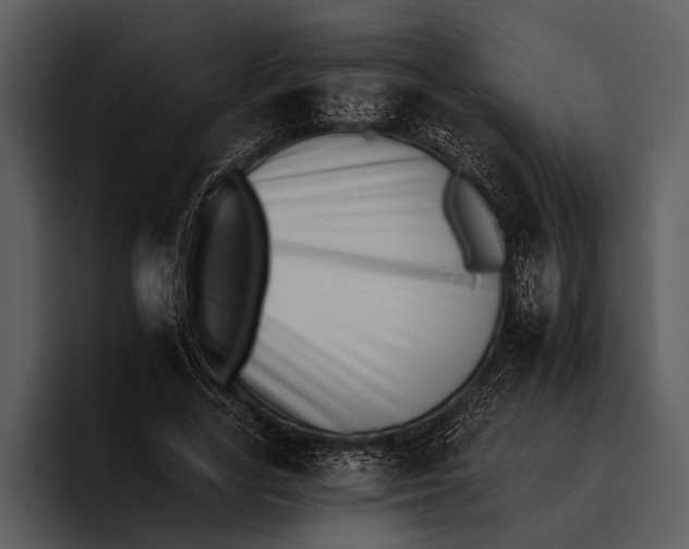 X0000095670731200801291136