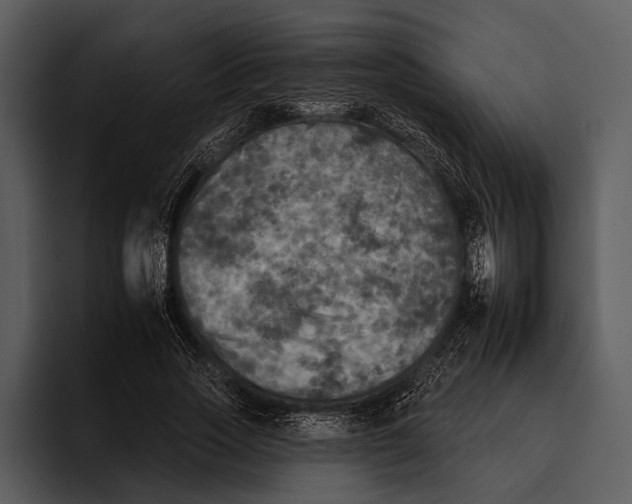 X0000095670733200801291136