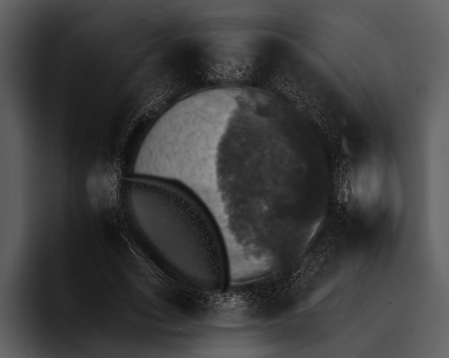 X0000095670735200801291136