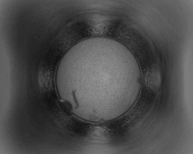 X0000095670737200801291136