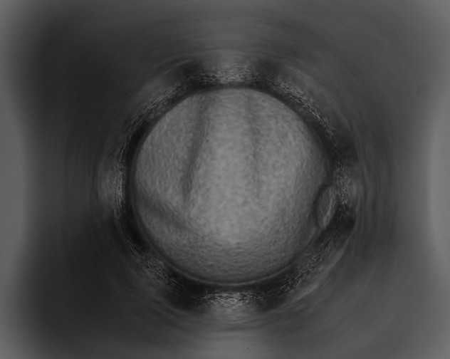 X0000095670740200801291136