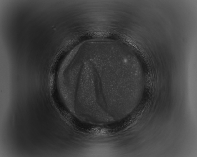 X0000095670742200801291136