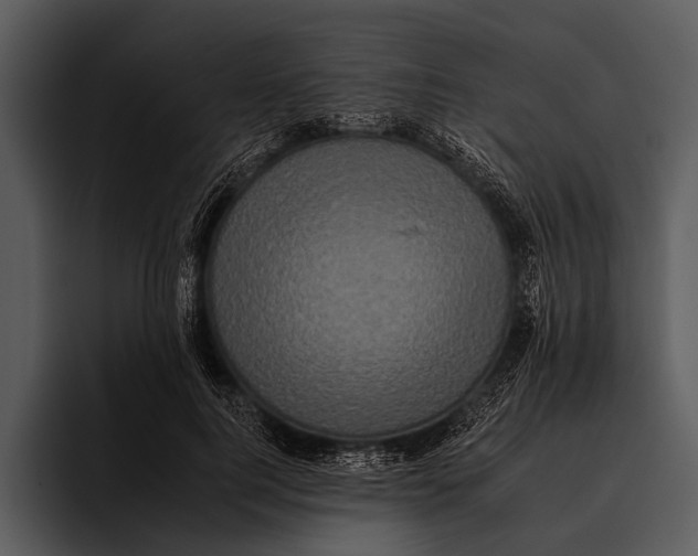 X0000095670744200801291136