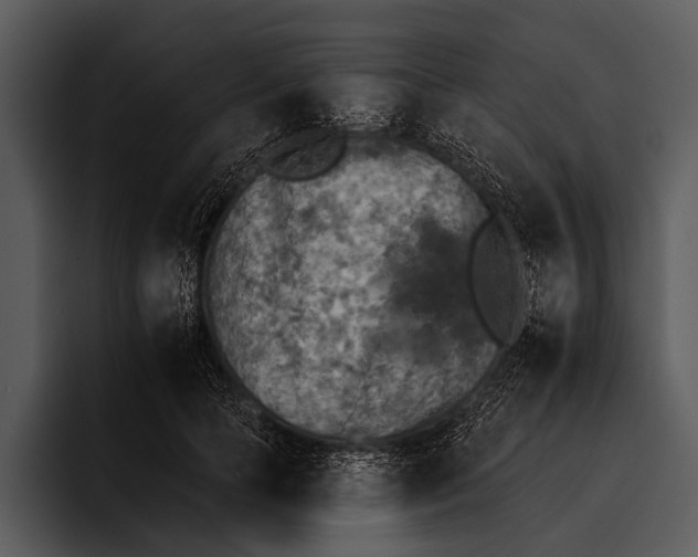 X0000095670745200801291136