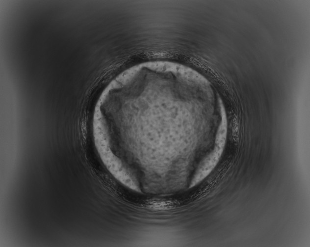 X0000095670746200801291136