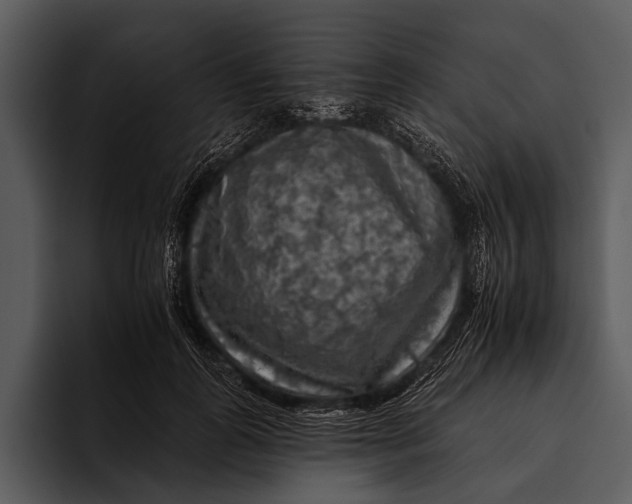 X0000095670747200801291136