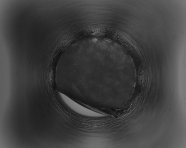 X0000095670748200801291136