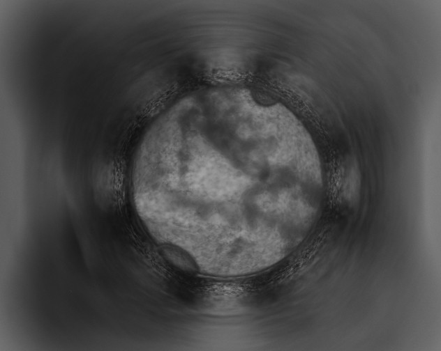 X0000095670749200801291136