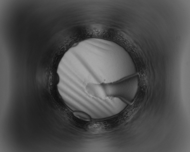 X0000095670750200801291136