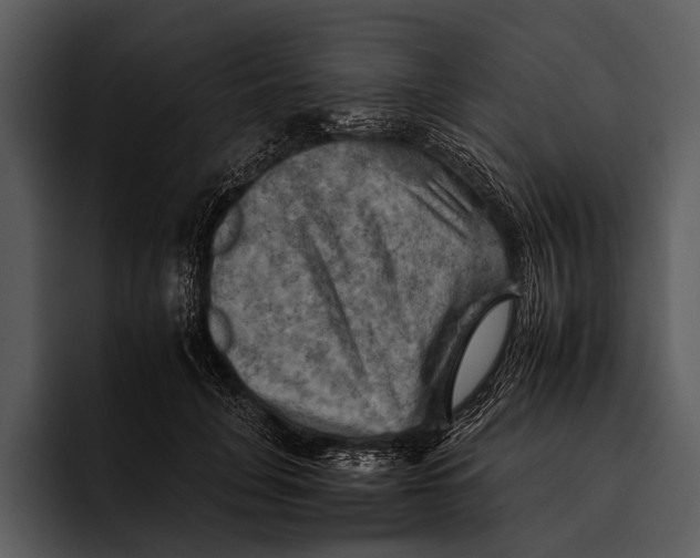 X0000095670751200801291136