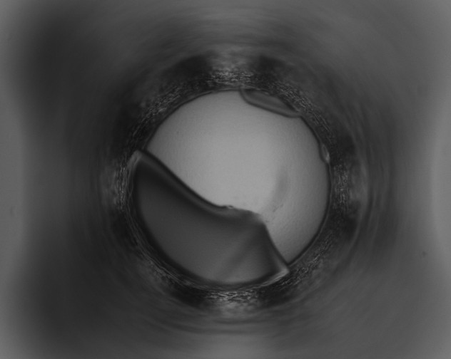 X0000095670752200801291137