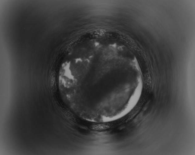 X0000095670754200801291137