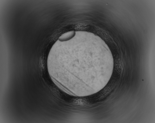 X0000095670755200801291137