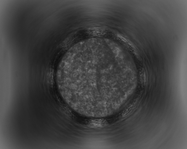 X0000095670757200801291137