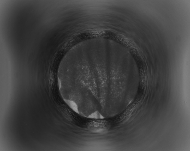 X0000095670758200801291137