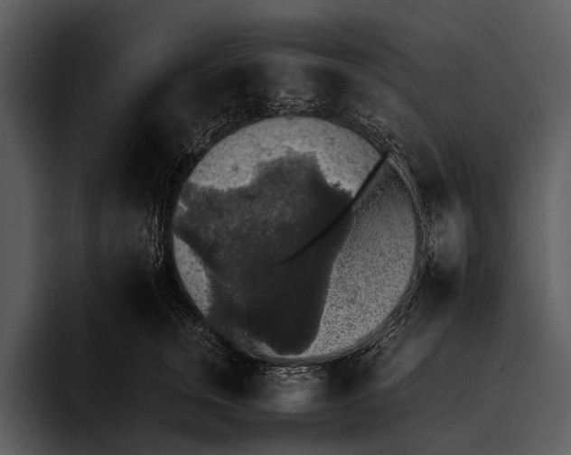 X0000095670759200801291137