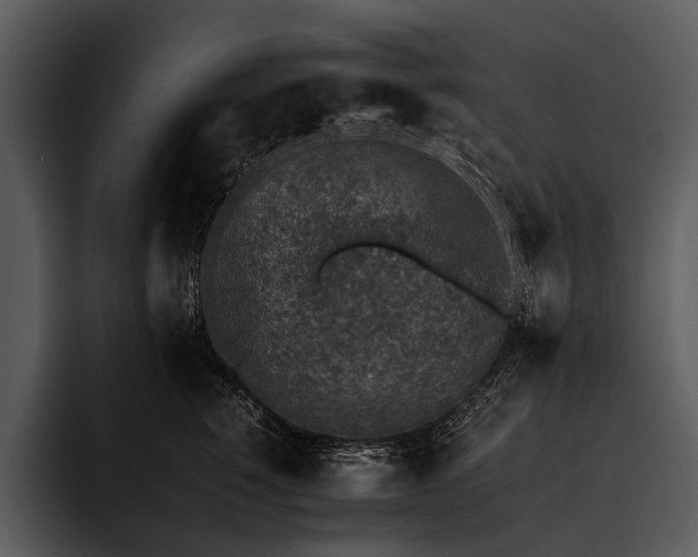 X0000095670760200801291137