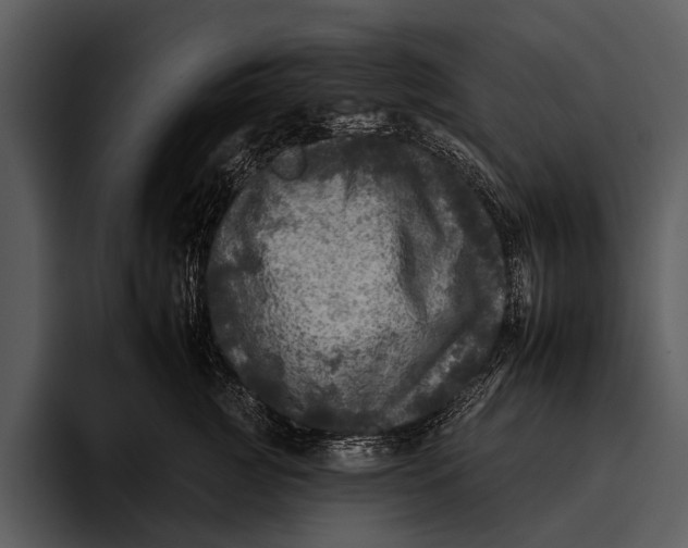 X0000095670761200801291137