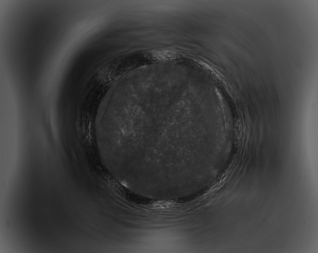 X0000095670762200801291137