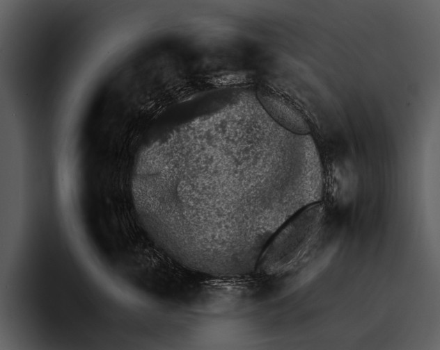 X0000095670763200801291137